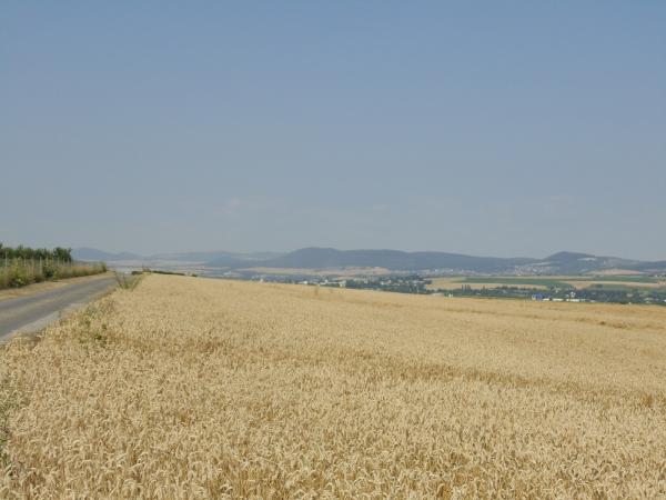 Ende Juli bei Andernach