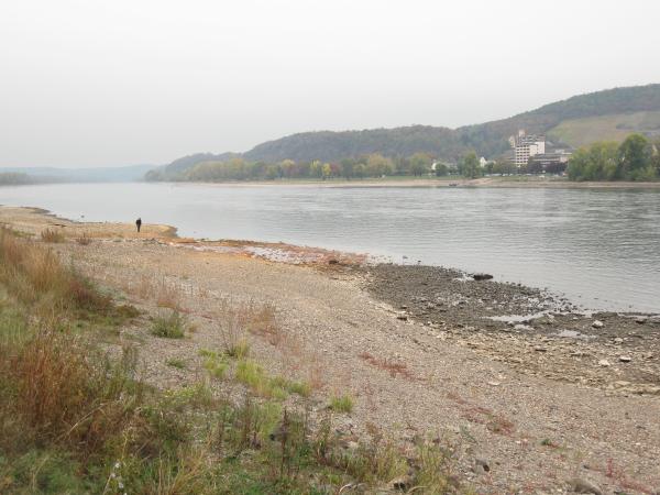 Niedrigwasser Oktober 2018 Niedrigwasser Oktober 2018