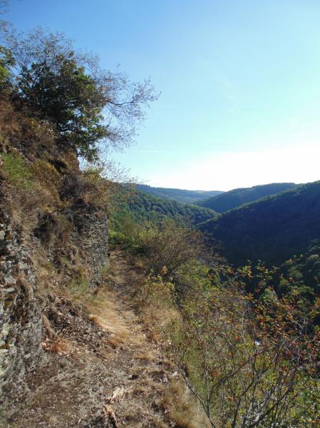 am Rheinecker Berg am Rheinecker Berg