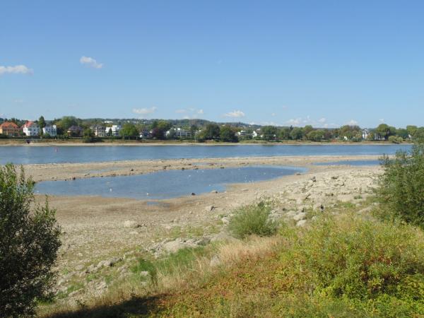 Niedrigwasser bei Rhöndorf