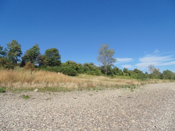Sommertrockenheit Sommertrockenheit