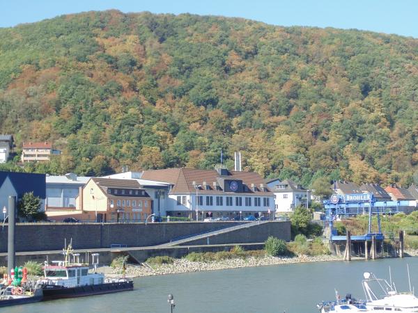 Dürre am Mittelrhein Dürre am Mittelrhein