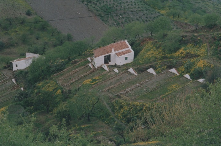 Kleinbauern-Stelle in Südspanien