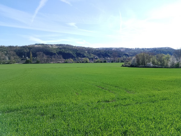 Getreideland Getreideland