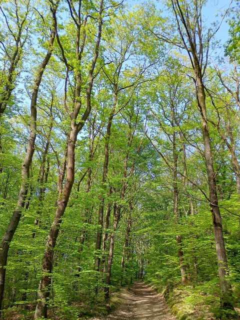 Frühling 2024 Frühling 2024