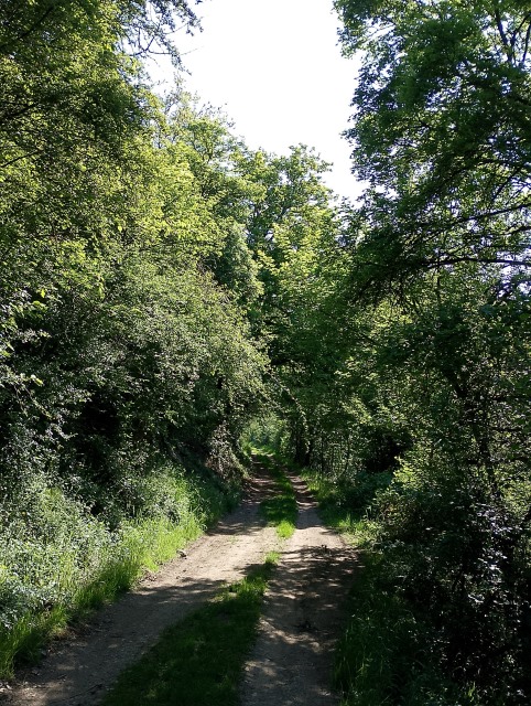 Südhang Oberbreisig Südhang Oberbreisig