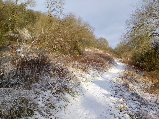 Schneetag Schneetag