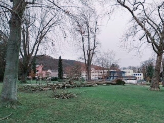 Stadtpark Bad Breisig Stadtpark Bad Breisig