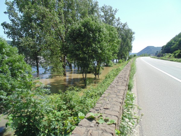 Rhein bei Brohl